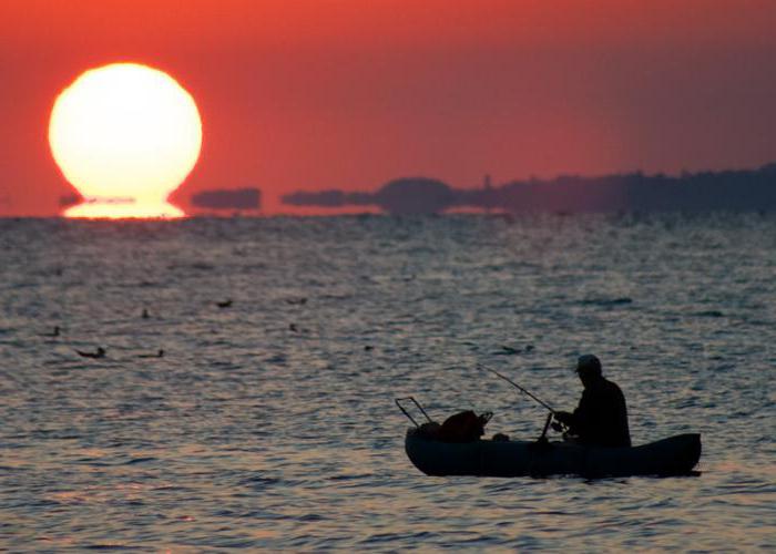 рыбалка на черном море в июле