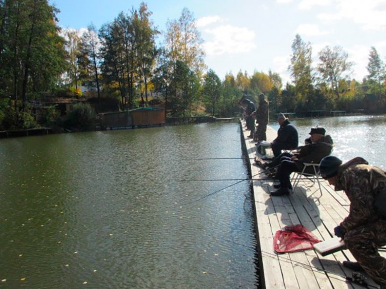 Платная рыбалка в Подмосковье: ТОП-20 лучших мест с платными прудами