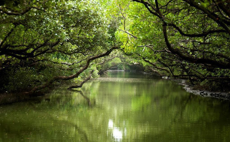 Река Амазонка: ТОП-30 красивых фото, описание, притоки, история