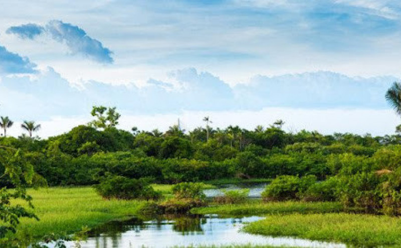 Река Амазонка: ТОП-30 красивых фото, описание, притоки, история