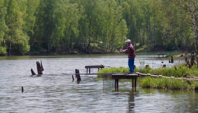 Платная рыбалка без ограничений на вылов рыбы в Московской области
