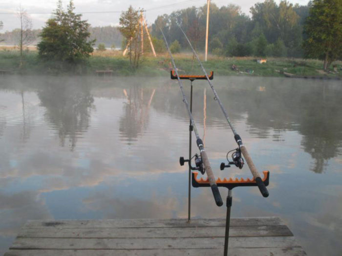 Платная рыбалка в Подмосковье: ТОП-20 лучших мест с платными прудами