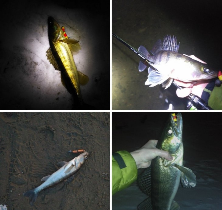 Мандула для рыбалки: (40+ фото), способы ловли, как сделать своими руками