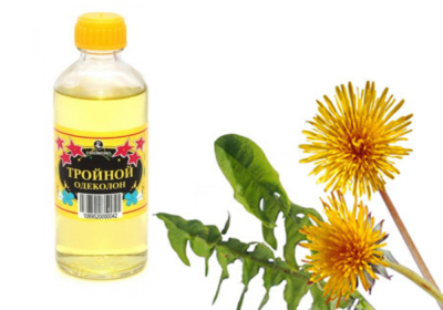 Настойка из цветов одуванчиков: ТОП-8 домашних рецептов (на водке и спирту)
