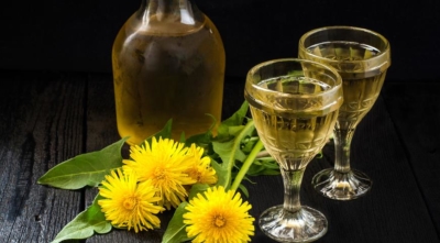Настойка из цветов одуванчиков: ТОП-8 домашних рецептов (на водке и спирту)