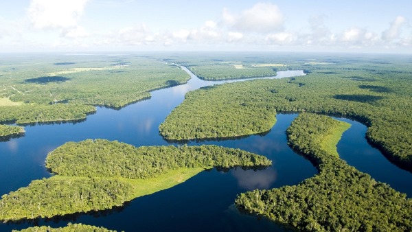 Река Амазонка. Фотографии, расположение на карте мира, район, описание, направления
