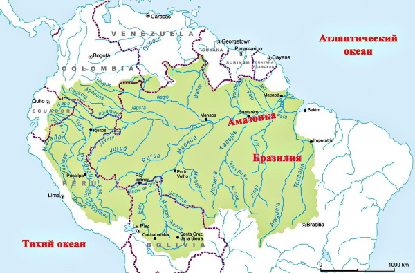 Река Амазонка. Известный, длина, устье, глубина, где протекает, длина, где протекает, фото, бассейн