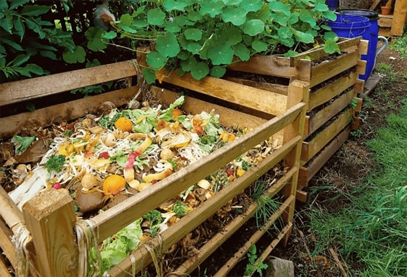 Наполнить компостный ящик садовыми отходами