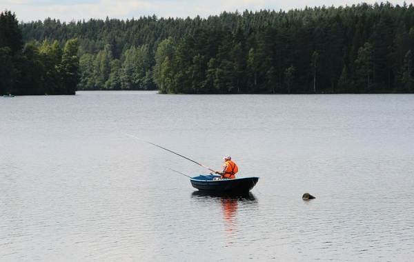 12 лучших мест для рыбалки в Архангельской области платные или неоплачиваемые-6