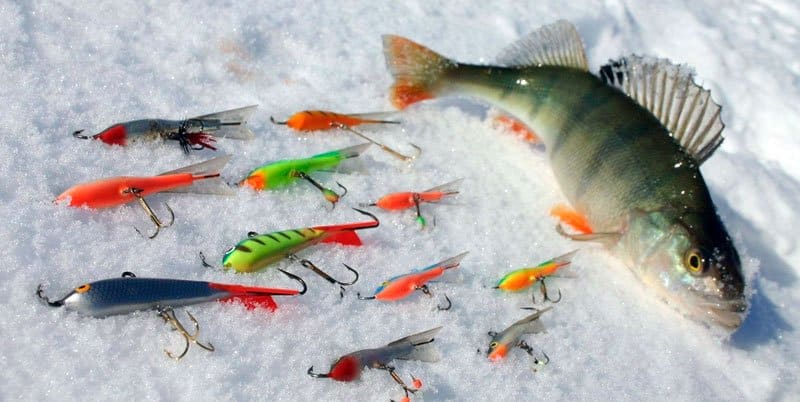 Зимняя рыбалка на окуня: поиск, зимние приманки и тросы, снасти