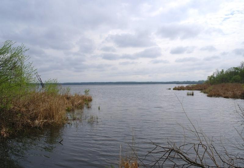 Озеро Муром в Московской области
