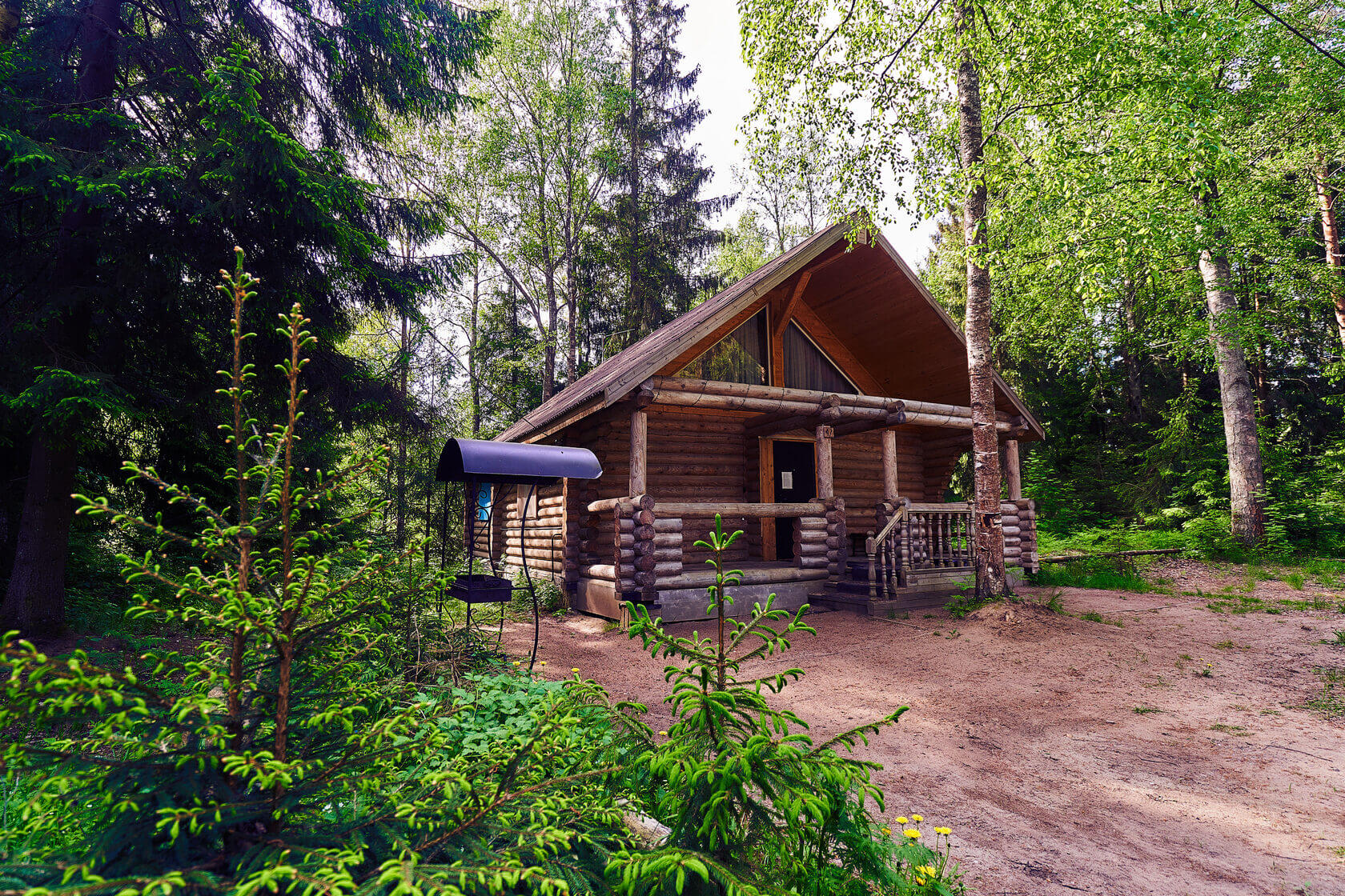 Деревянный дом в лесу с мангалом для шашлыка.