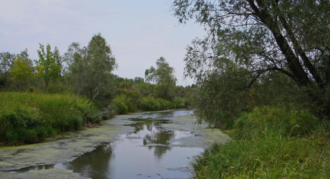 река Кривой канал