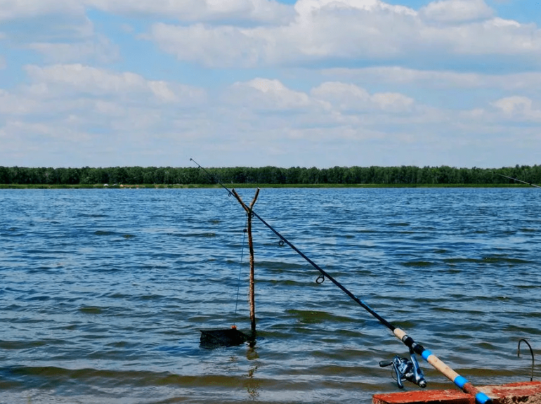 Озеро Чистое для рыбалки