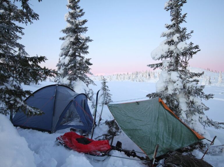 Виды зимних палаток