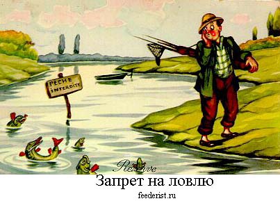 Запрет на рыбалку